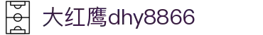 大红鹰dhy8866(中国)股份有限公司